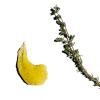 Скинга Нежный скраб-желе с растительными комплексами и маслами, 200 мл (Skinga, Body) фото 3