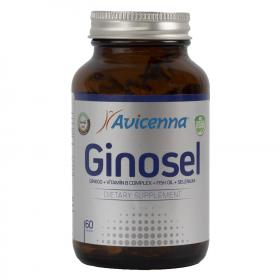Avicenna Комплекс Ginosel для активности мозга, 60 капсул. фото