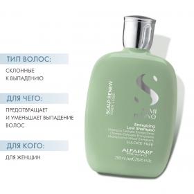 Alfaparf Milano Энергетический шампунь против выпадения волос Energizing Low Shampoo, 250 мл. фото