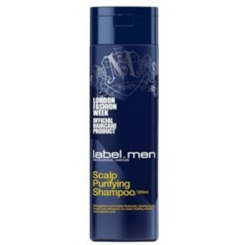 Лейбл М Шампунь для очищения кожи головы Scalp Purifying Shampoo, 250 мл (Label.M, Men) фото 0