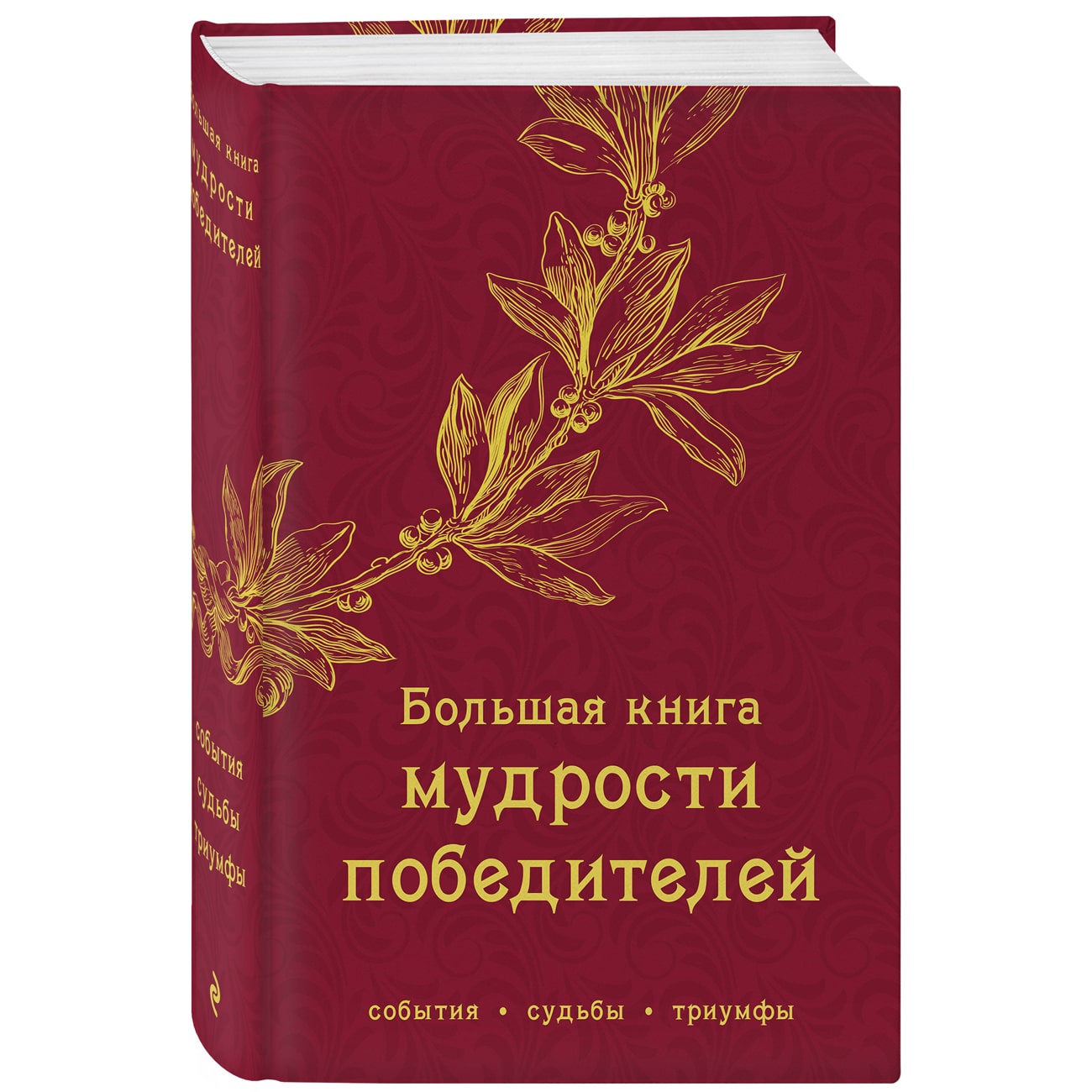 книга мудрости картинки