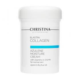 Christina Увлажняющий крем c витаминами А, Е и гиалуроновой кислотой для нормальной кожи Эластин, коллаген, азулен, 250 мл. фото